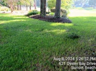 Kati F.'s Grass Cutting service result