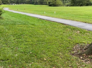 Monica I.'s Yard Cutting service result