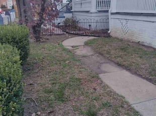 Leaf Removal by Walter Taylor for Calla A. in Petersburg, VA