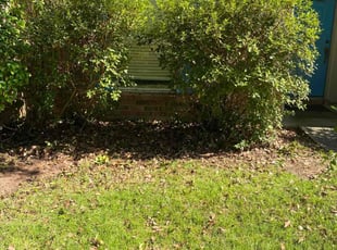 Bush Trimming by Devin Brown for Michael J. in Mandeville, LA
