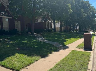 Lori B.'s Lawn Mowing service result