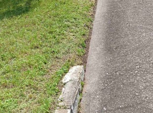 Andrea L.'s Lawn Mowing Service service result