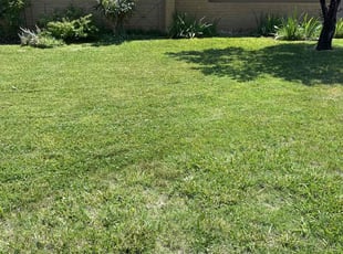 Anne H.'s Lawn Care service result