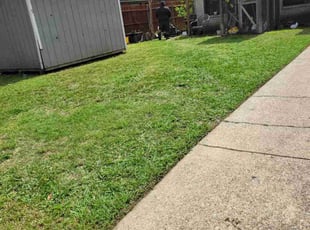 Sadie L.'s Lawn Care service result
