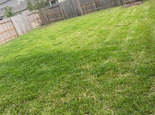 Israel P.'s Lawn Care service result