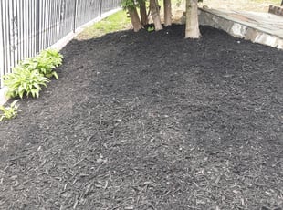 Mulching by Percy Esteban Perez for Cheryl l. in Boston, MA