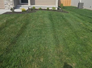 Josie H.'s Lawn Service service result