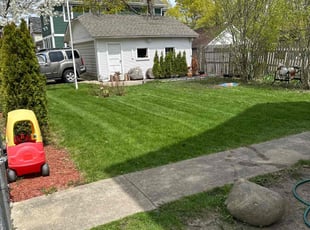 Ann B.'s Lawn Mowing service result