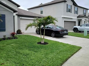 Michele C.'s Yard Cutting service result