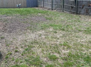 Leaf Removal by Susy Mia Nieto for David S. in New Castle, DE