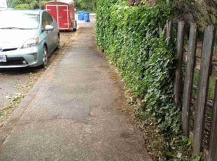 Bush Trimming by Robert Marsico for Tevin p. in Portland, OR