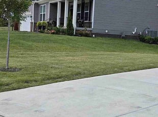 Nomena B.'s Lawn Service service result