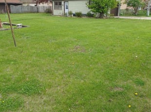 Cleanups by Diamond Rucks for Dawn S. in Beloit, WI
