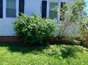 Weeding by George Tureman for Whitney T. in Richmond, VA