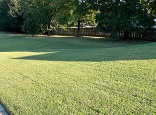 Pearl S.'s Lawn Mowing service result