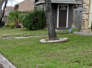 Leaf Removal by Tim Burnett for Llewellyn H. in Mesquite, TX