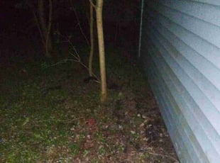 Leaf Removal by Devon Eagles for Oilvia A. in Tonawanda, NY