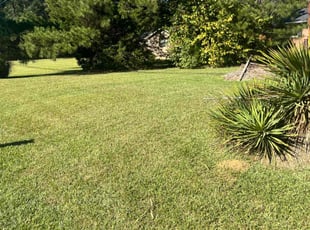 Jake M.'s Lawn Service service result