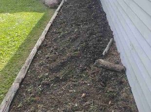 Weeding by Daniel Bunch for Leslye M. in Columbus, OH