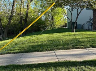 Cameron H.'s Yard Cutting service result
