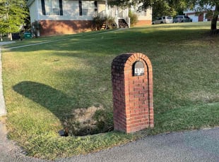 Dora M.'s Lawn Service service result