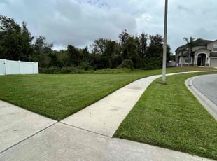 Tony O.'s Lawn Mowing Service service result