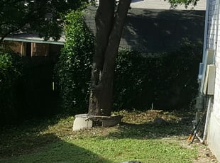 Landscaping by William Wanier for Tiffany D. in San Antonio, TX