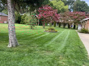 Shishir D.'s Yard Cutting service result