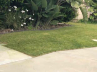 Kelley P.'s Lawn Mowing service result
