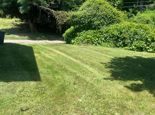 Heather B.'s Lawn Maintenance service result