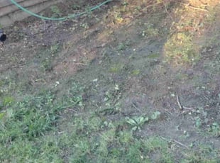 Cleanups by Tim Birch for Yolanda T. in Bellevue, NE