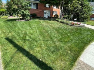 James C.'s Lawn Service service result