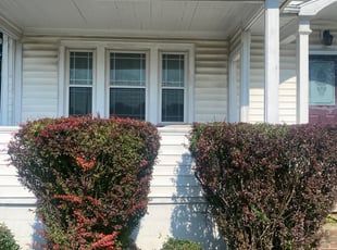 Jennifer A.'s Bush Trimming service result
