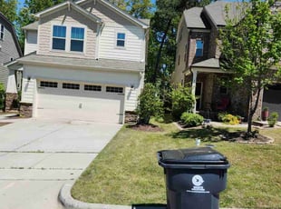 Tyrone P.'s Grass Cutting service result
