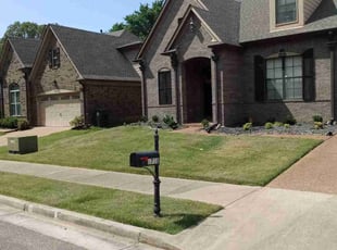 Tiffany P.'s Lawn Mowing service result