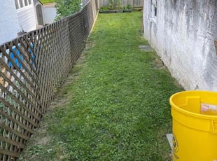 Sally H.'s Lawn Mowing service result