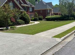 Niki B.'s Lawn Maintenance service result