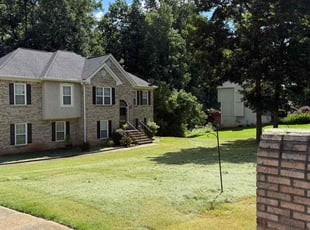 LaShonda D.'s Bush Trimming service result