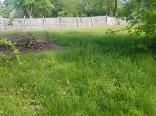 Weeding by Dante Hicks for Gary B. in Carlisle, OH