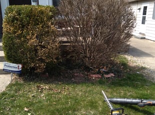 Bush Trimming by Frank Koller for Brittany G. in Indianapolis, IN