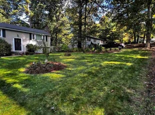 Imani W.'s Lawn Maintenance service result