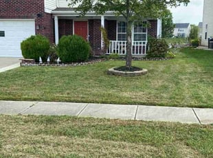 Crystal A.'s Lawn Mowing service result