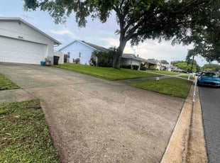 Michael K.'s Grass Cutting service result
