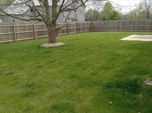 Yeisol W.'s Lawn Mowing service result
