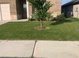 Suzy S.'s Lawn Maintenance service result