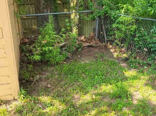 Leaf Removal by Brandon Plater for James M. in Shreveport, LA