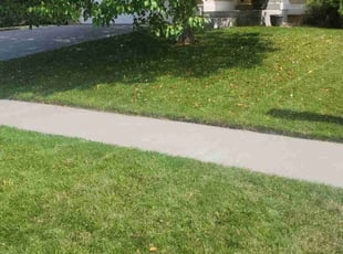 Robin R.'s Lawn Service service result