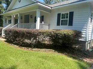 Jessica B.'s Bush Trimming service result