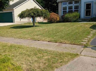 Kat J.'s Lawn Maintenance service result