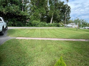Dwight B.'s Lawn Care service result